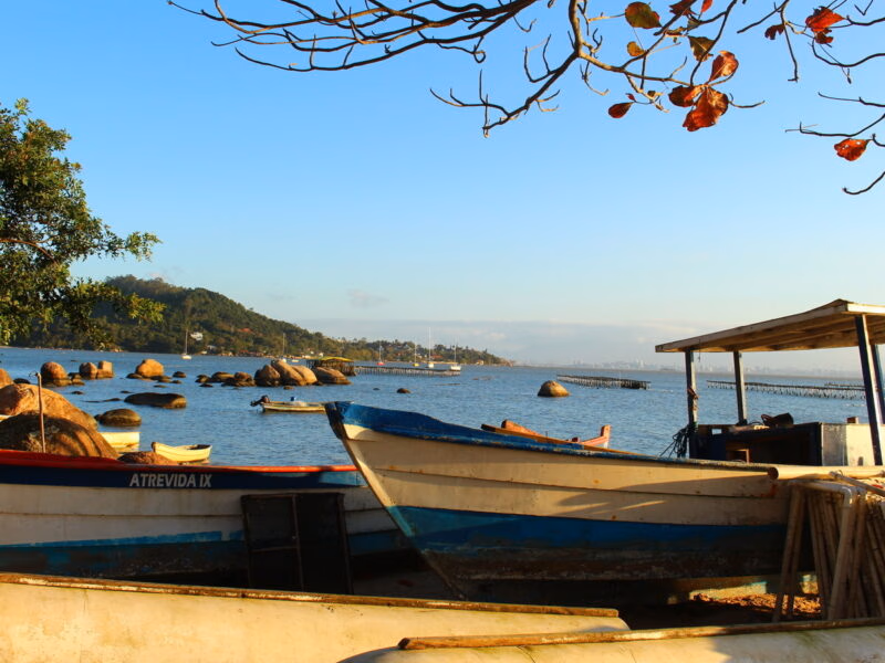 Boats moored up on the beach in Florianópolis