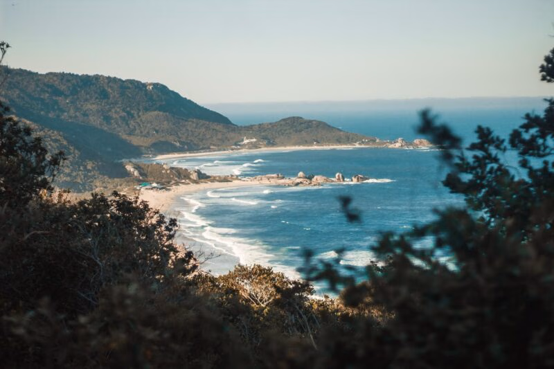 Distant view of Praia Mole obscured by greenery