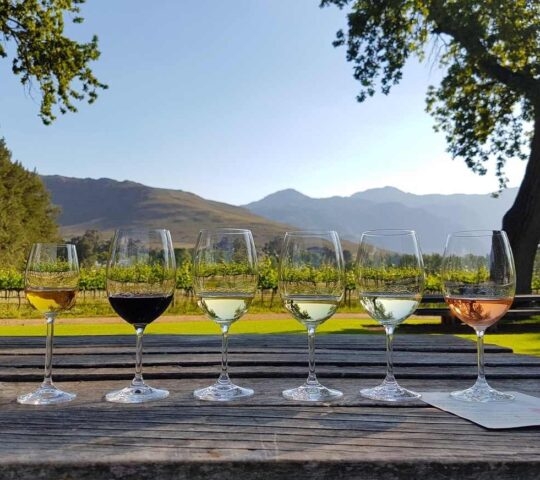 A couple of glasses of wine during a wine tasting session in Stellenbosch, South Africa.