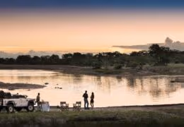 A Sophisticated Cape, Safari & Waterfalls Honeymoon