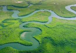 Brazil Family Adventure