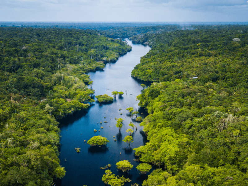 The Amazon Brazil areal view