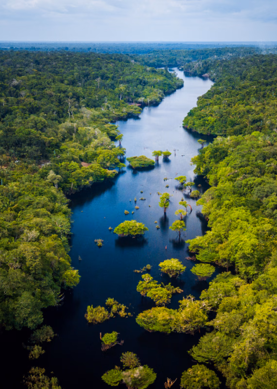 Areal view of the Amazon Brazil