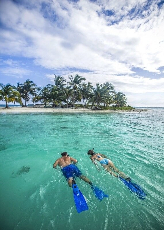 Snorkelling Placencia Belize