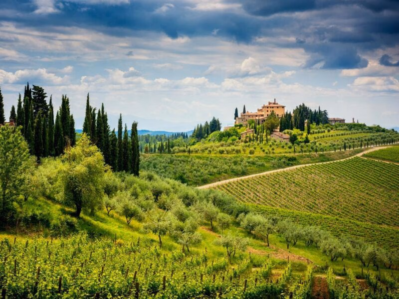 Chianti hills with vineyards Tuscany