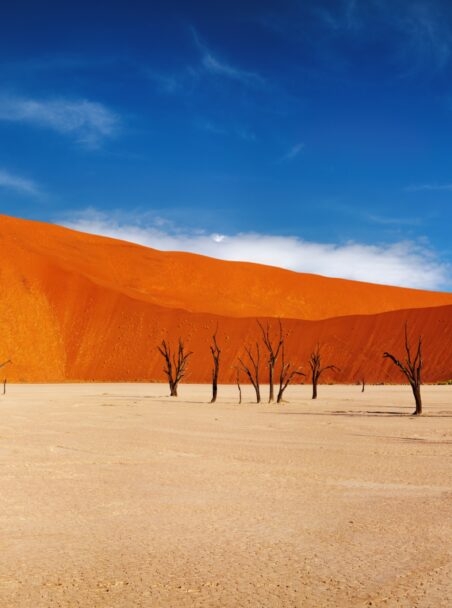 The Best Places to Visit in Namibia