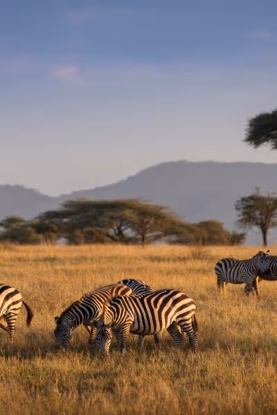 An Incredible Private Safari in Kenya and Tanzania