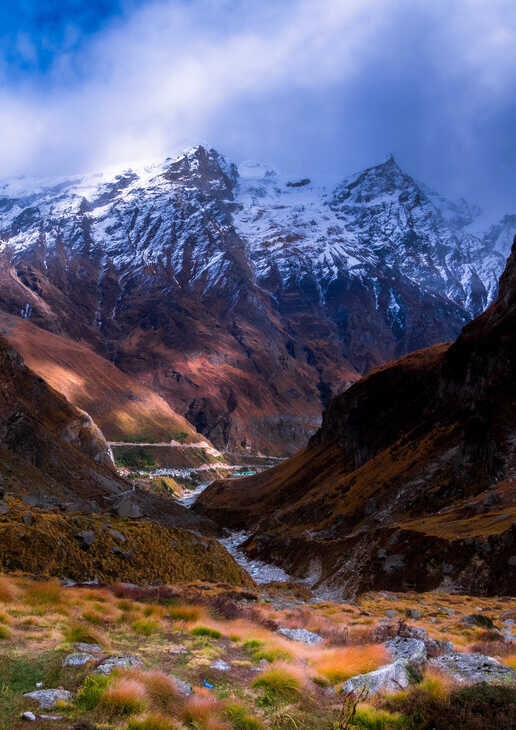 Mountains in Hemis Devi National Park, a crocodile in the Mangroves of Sundarbans National Park and a turquoise lagoon in Ladakh's Hemis National Park