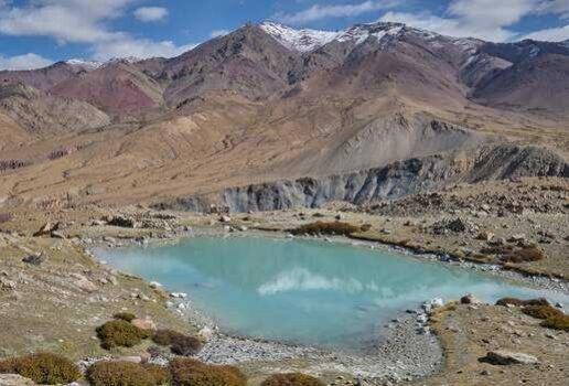 Mountains in Hemis Devi National Park, a crocodile in the Mangroves of Sundarbans National Park and a turquoise lagoon in Ladakh's Hemis National Park