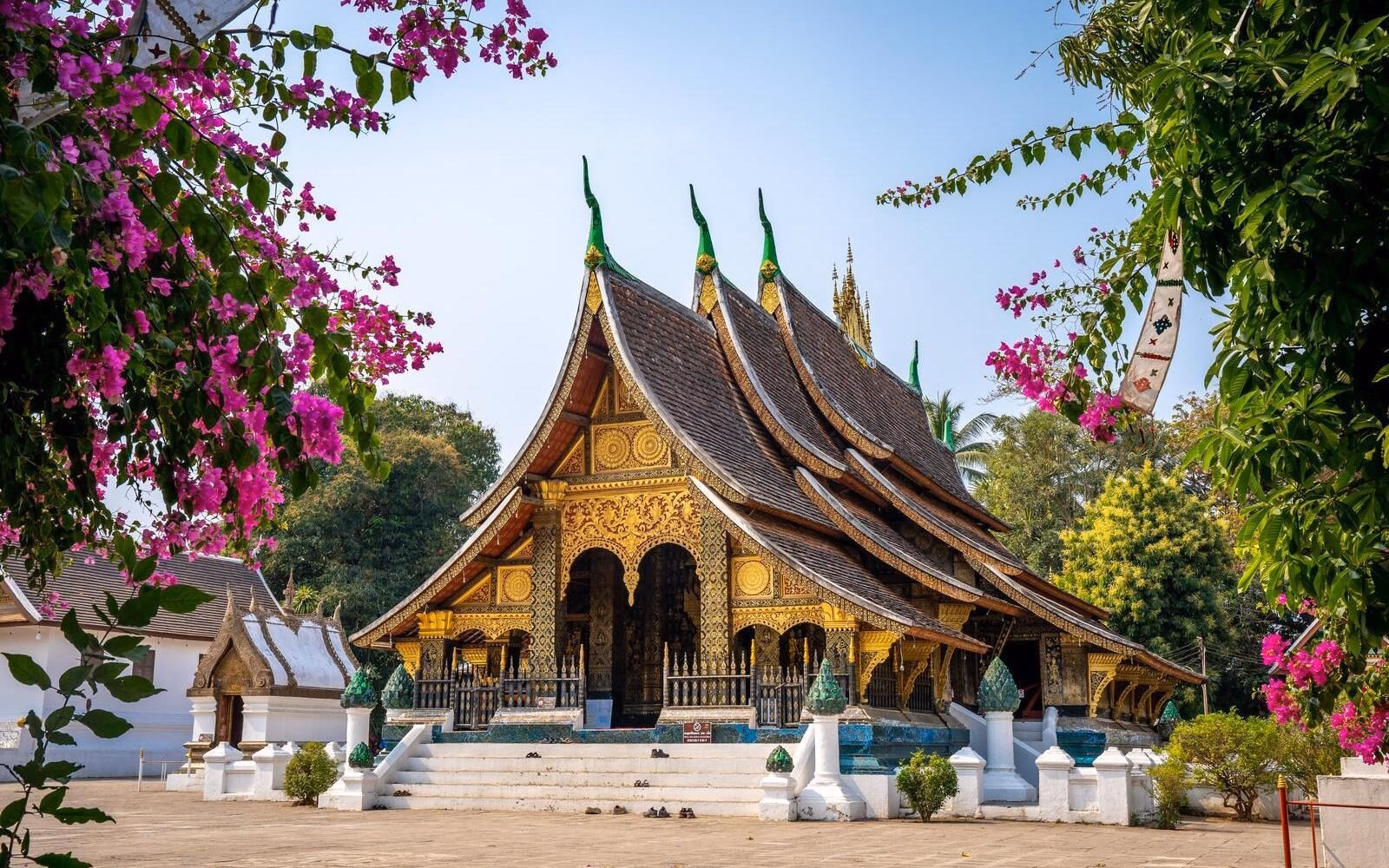 The ornate Wat Xieng Thong temple framed by beautiful bougainvillaea in the heart of Luang Prabang, Laos.
