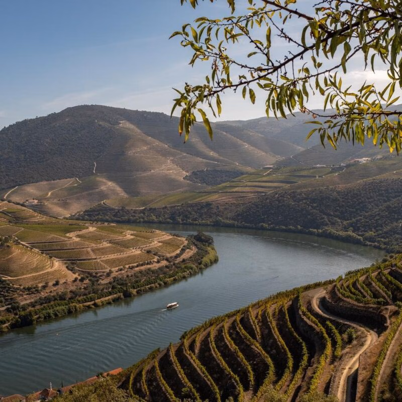 The Douro river winding through the Douro Valley