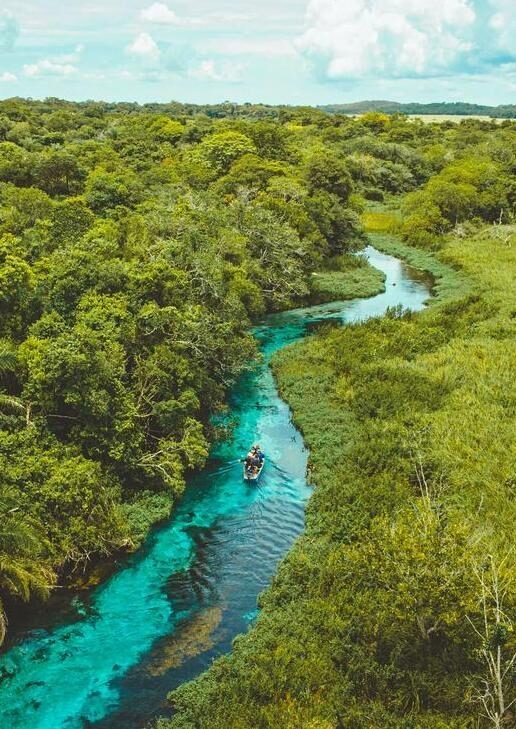 Sucuri River or Rio Sucuri in Bonito, Mato Grosso do Sul - river with blue crystalline water. Brazil