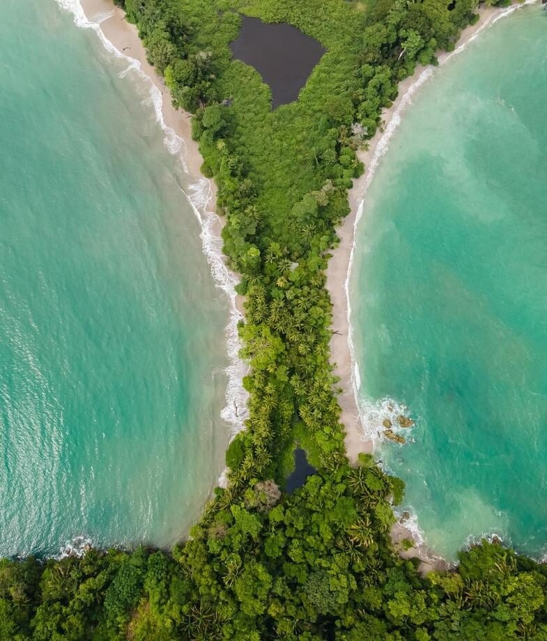 An aerial view of Manuel Antonio National Park in Quepos and a green sea turtle on the beach in Tortuguero.