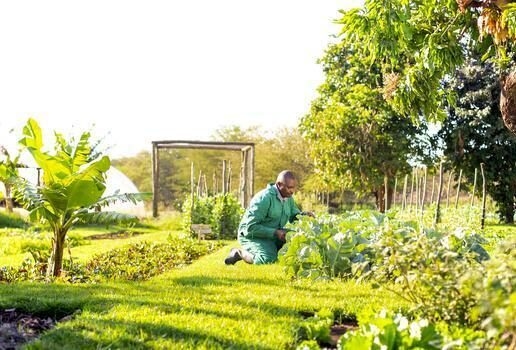 Tropical produce displayed at the bar of Singita Kwitonda Lodge in Rwanda, breakfast served near Sasaab in Kenya’s Samburu National Reserve and fresh vegetables harvested in the garden at Lewa Wilderness.