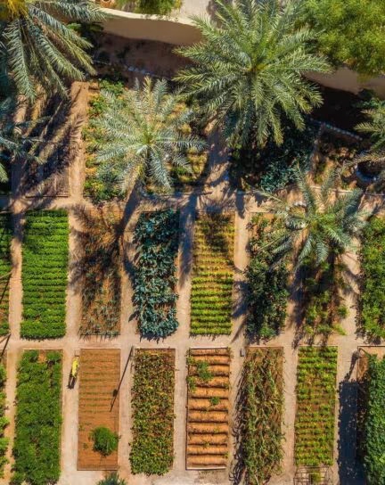 The Best Hotels and Lodges for Farm-to-Table Experiences