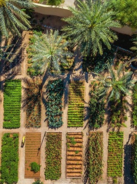 The Best Hotels and Lodges for Farm-to-Table Experiences