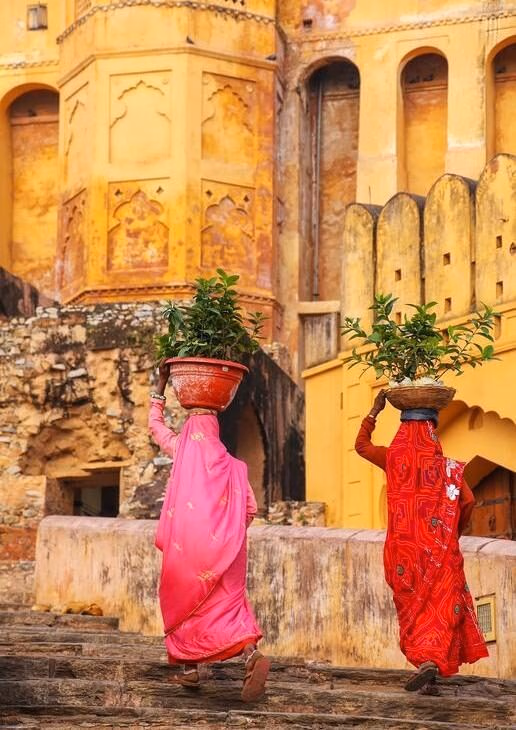 Local women carrying pots with plants at Amber Fort, the intricately detailed facade of Mehrangarh and the sprawling ramparts of Chittorgarh Fort.