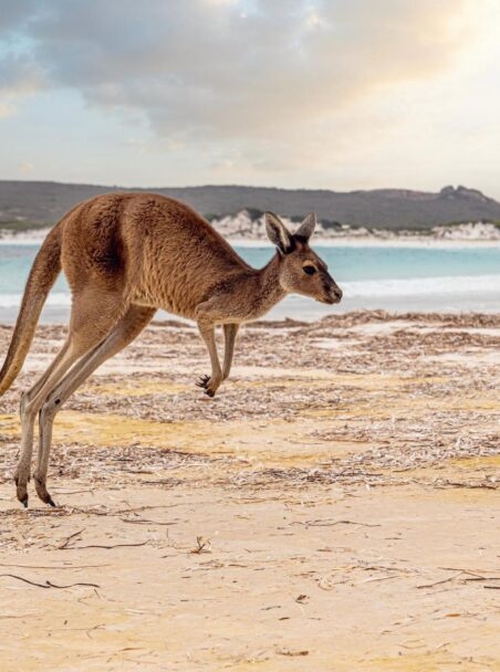 The Best Things to Do in Australia