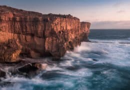 Australia Coastal and Outback Wildlife Experience