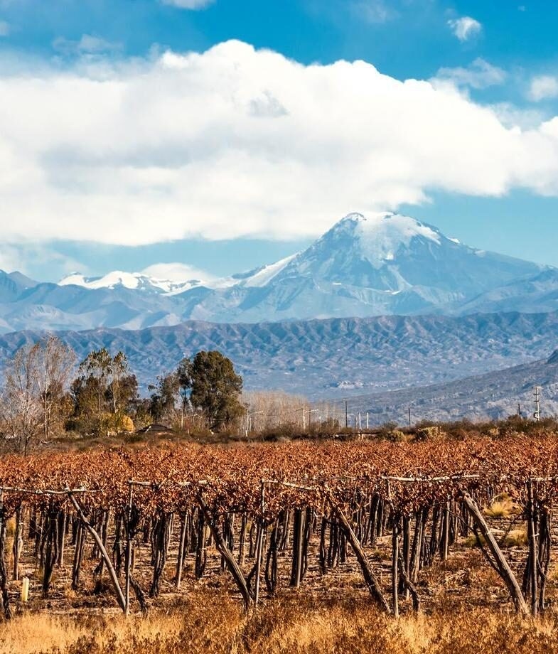 Sunrise over Mount Fitz Roy in Patagonia, and vineyards in Mendoza