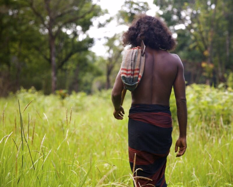 Rear view of a man walking through a tall grass field on positive impact trips.