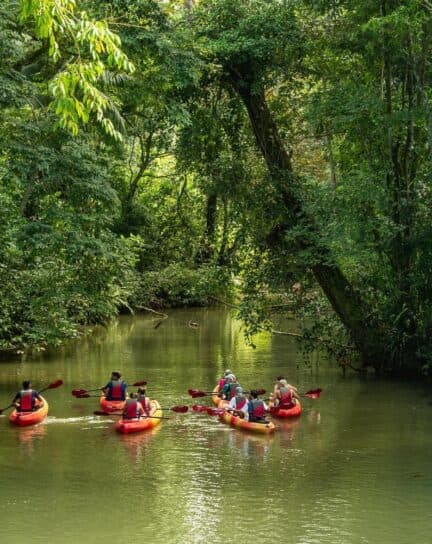 The 8 Best Family Things to Do in Costa Rica