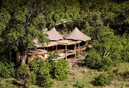 Gorilla trekking in Rwanda, Wilderness Mombo Camp, elephants wading into water in Tanzania.