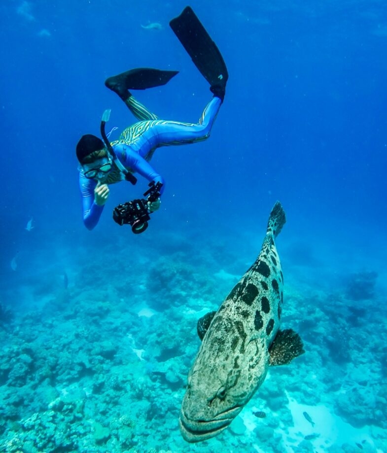 Snorkelling with giant cod during a stay at Lizard Island, the private resort of the Brando in French Polynesia.