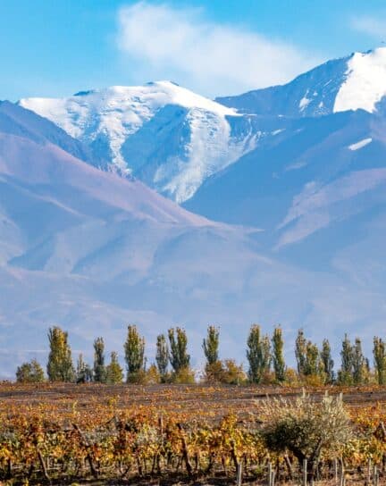 Our Favourite Non-Traditional Festive Destinations Around the World