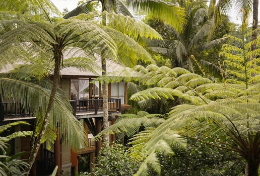 Four Seasons Bali at Sayan, COMO Shambhala and Fivelements Retreat