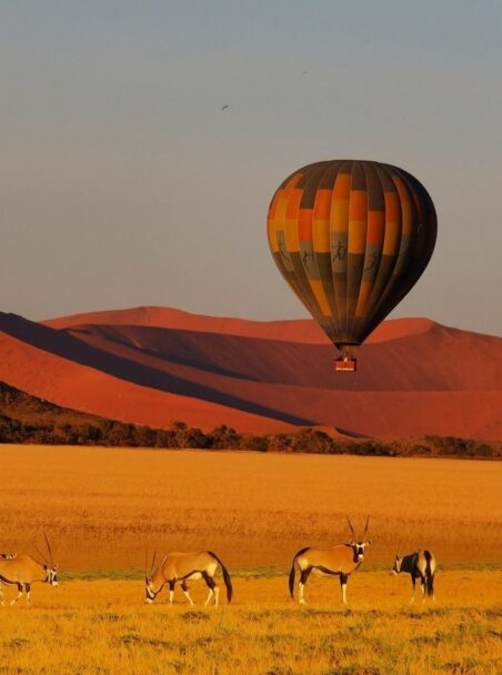 The Best Time to Visit Namibia