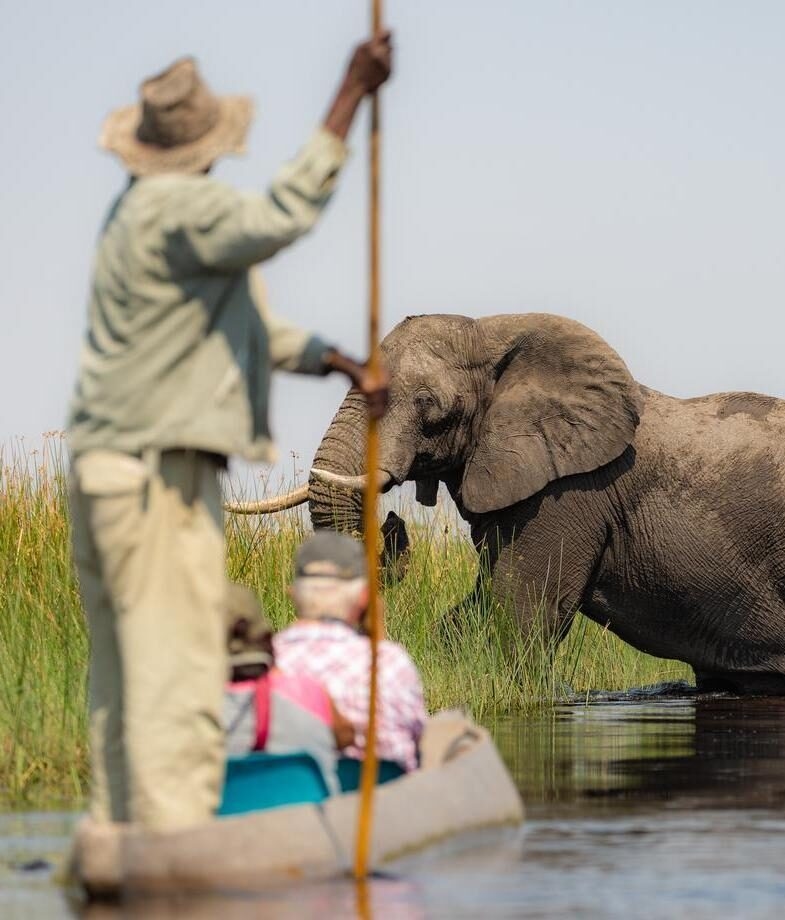 a mokoro canoe in the Okavango delta
