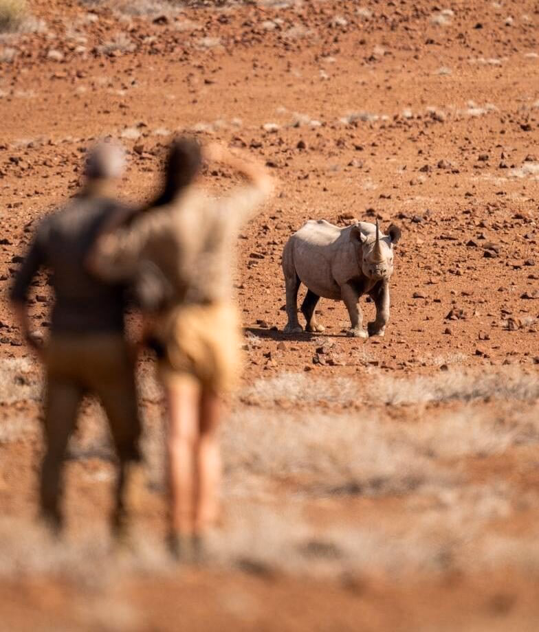 Tourists observing a rhinoceros in the wild on Namibia and Botswana Luxury Tours.
