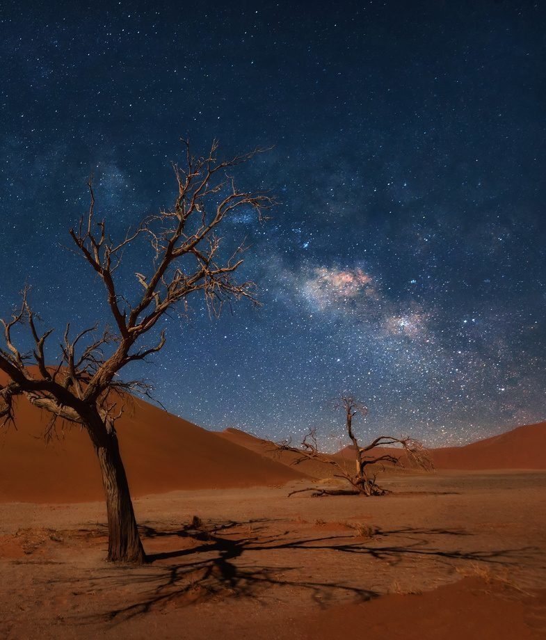 Rhino tracking at Wilderness Desert Rhino Camp and stargazing in the dunes at Sossusvlei