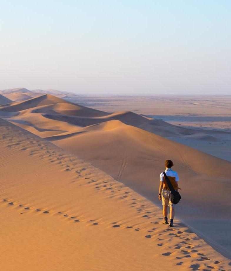 Watching elephants from a safari vehicle, and climbing the sand dunes at Sossusvlei