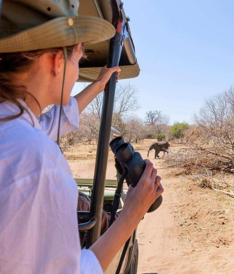Watching elephants from a safari vehicle, and climbing the sand dunes at Sossusvlei
