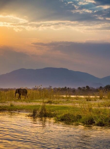 The Best National Parks in Zambia