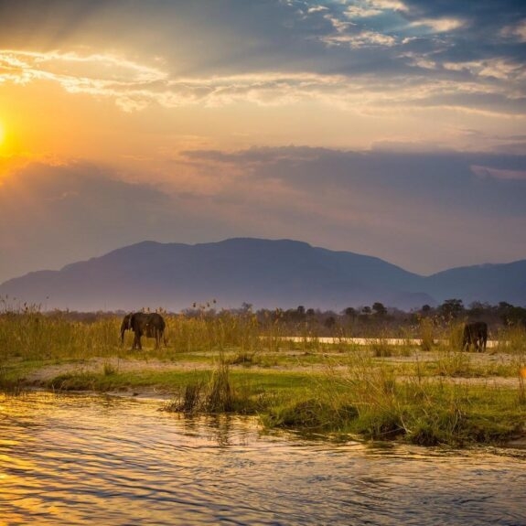 The Best National Parks in Zambia thumbnail