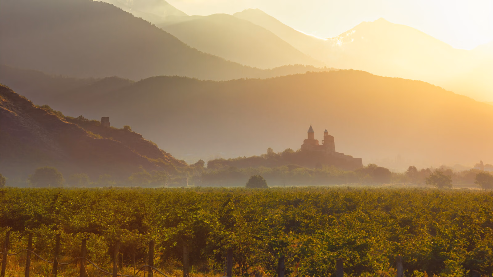 Scenic view of vineyards in the Kakheti region at sunrise Georgia