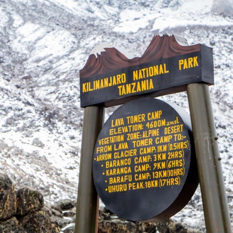 Sign in campground, Lava Tower Camp, Mount Kilimanjaro