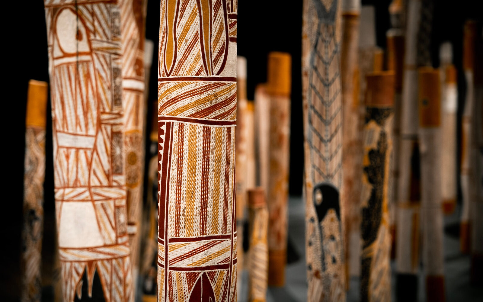 Traditional Aboriginal instruments from Australia, intricately painted with ancestral designs that reflect culture, heritage and deep connections to the land.