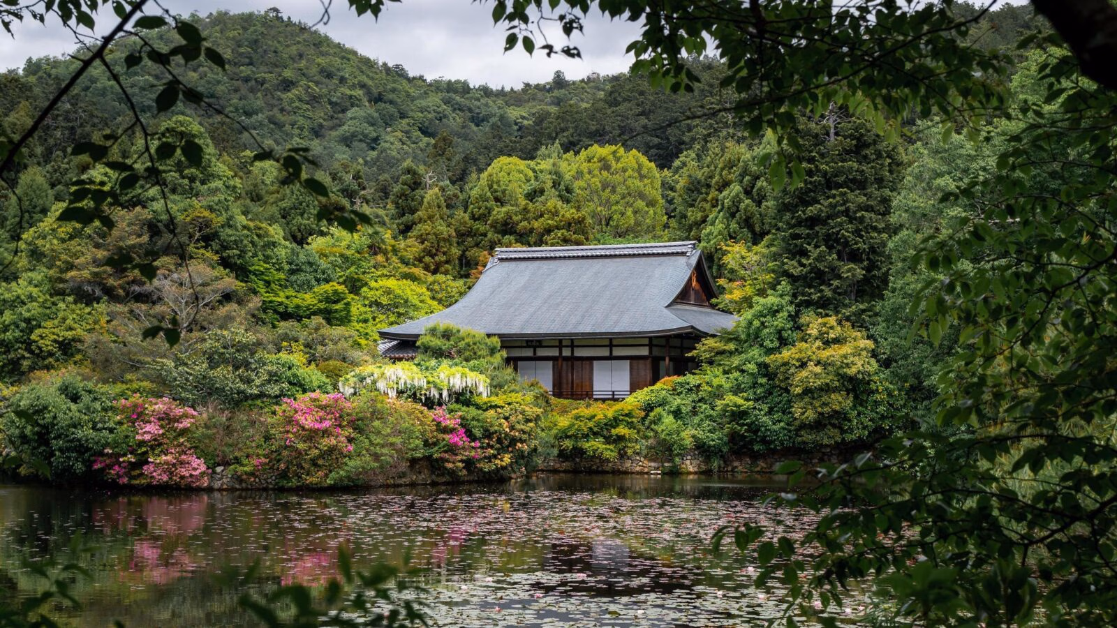The Temple of the Dragon. Ryoan-ji. Lake and trees