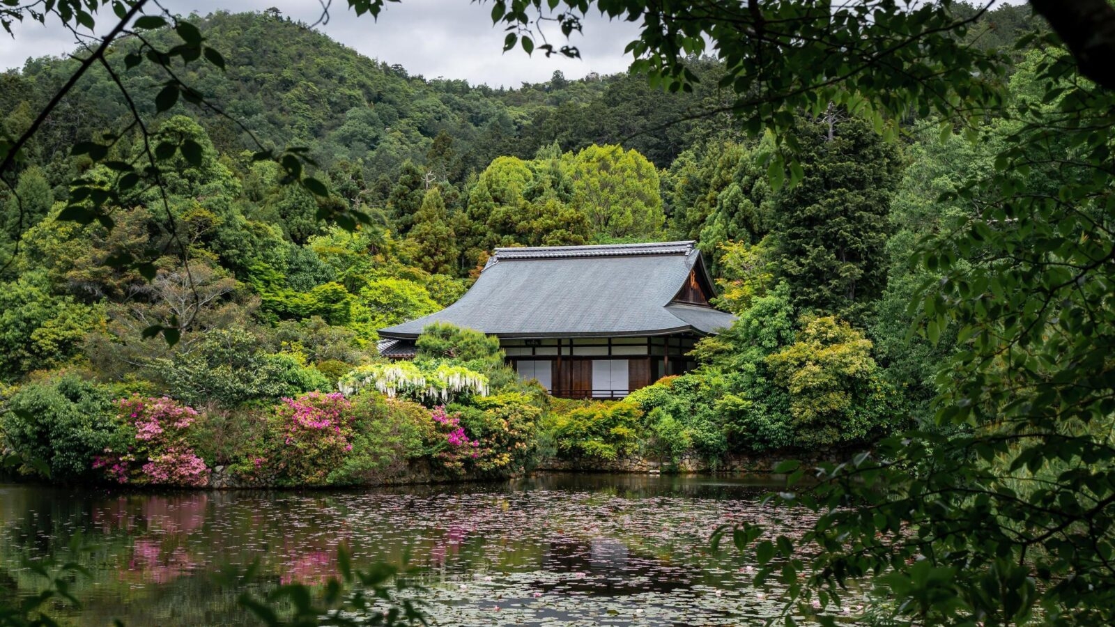The Temple of the Dragon. Ryoan-ji. Lake and trees