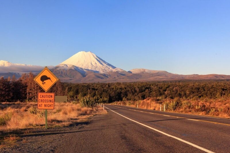 Kiwi road sign and volcano Mt. Ngauruhoe at sunset, Tongariro National Park