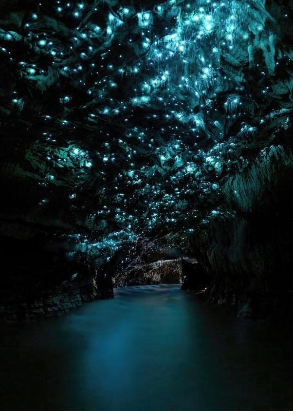 Waitomo Glowworm Caves in New Zealand