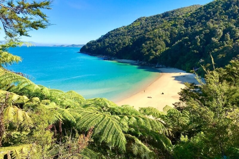 A beach in Abel Tasman National Park