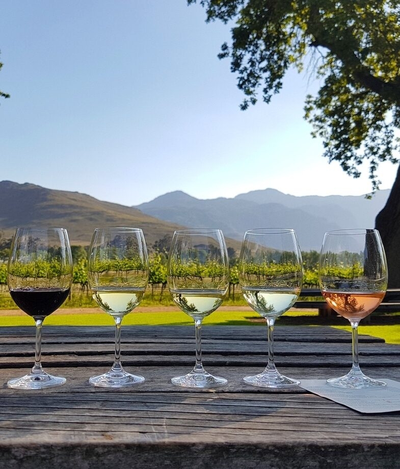 South Africa is home to some fantastic wine regions, including Stellenbosch, which sits on the coast