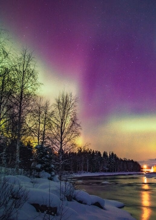 The aurora lighting up the sky over Rovaniemi in Finnish Lapland, a majestic elephant seen on a walking safari in Tanzania and dolphins leaping beside traditional dhows in Oman’s Gulf of Musandam.