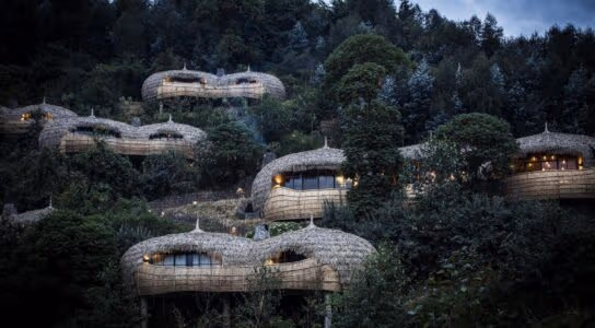 Experience the wildlife around Bisate Lodge preview image