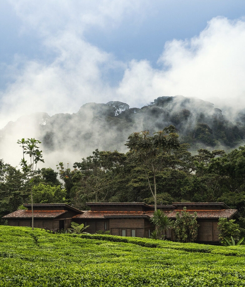 Soak up views of tea plantations from One&Only Nyungwe House, or of Lake Rwanyakazinga from Wilderness Magashi Camp